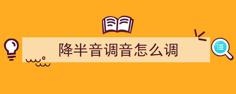 校音器助力,如何轻松将二胡弦比基准音定低一点？