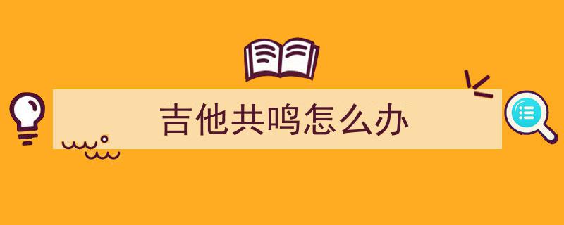 共鸣之选,四款全单吉他深度测评，探寻音质与木头的艺术融合