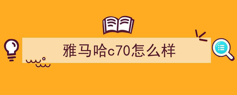 再谈中国弯梁名车,传承与创新的风采展现