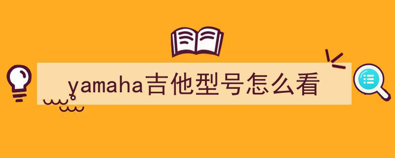 雅马哈吉他SG系列,经典摇滚之选，全面介绍与评测