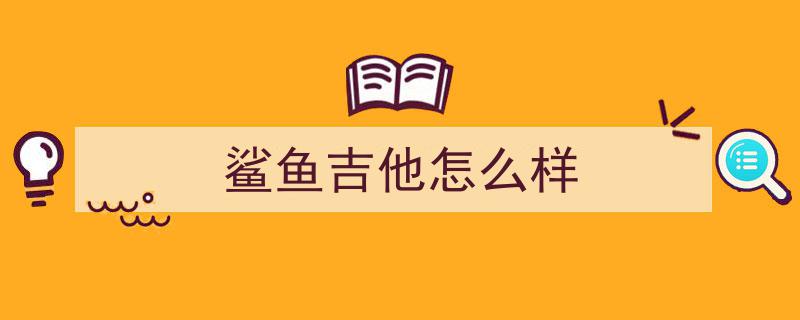 网友打卡地新探秘⑤,揭秘热门新地标，探索未知打卡胜地