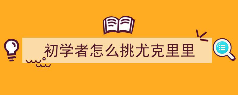新手尤克里里选购攻略,5步法指南+4款实测推荐好琴必看