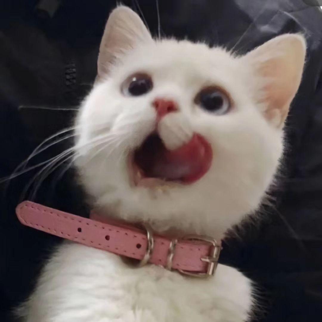 好久不见