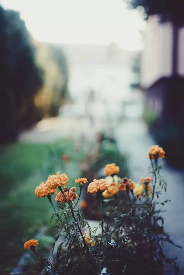 怀念