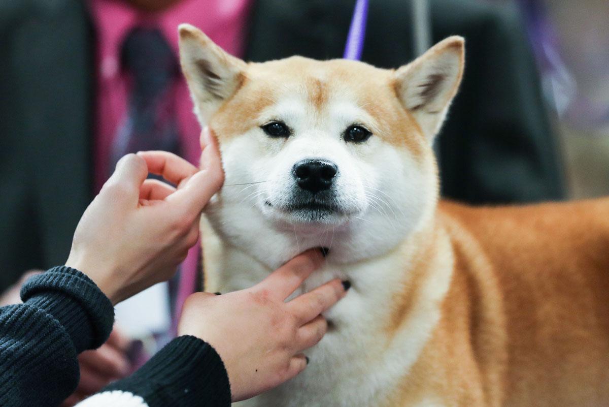 来自我心