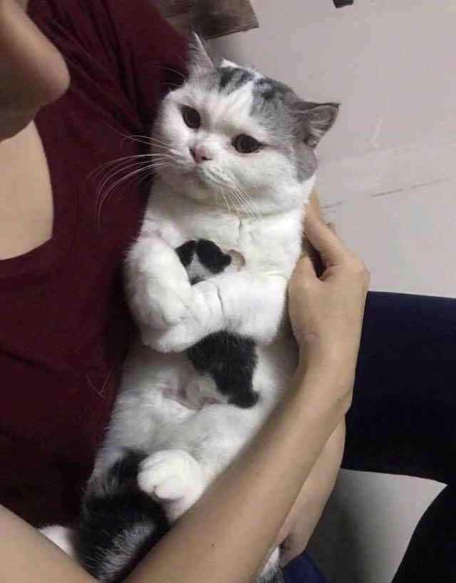 说说话