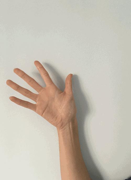再见